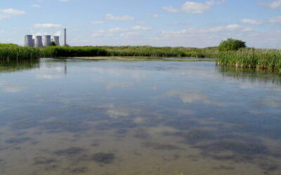 Oxmoor Wood & Ponds