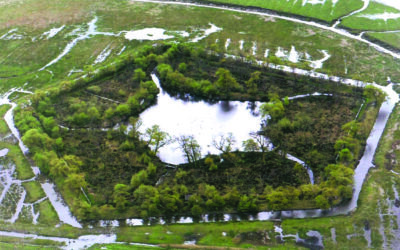 Pickering’s Pasture Local Nature Reserve