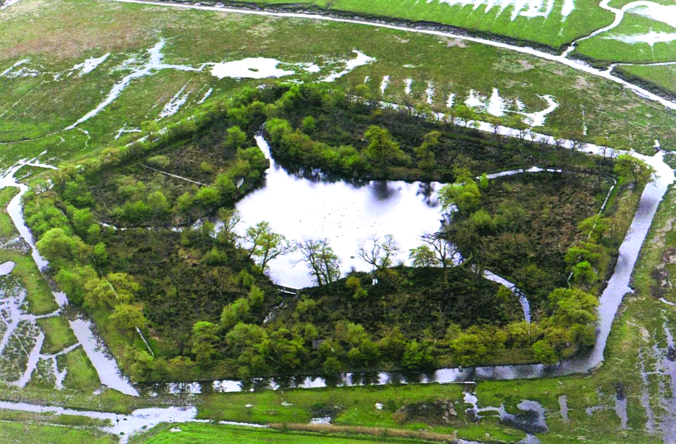 Pickering’s Pasture Local Nature Reserve
