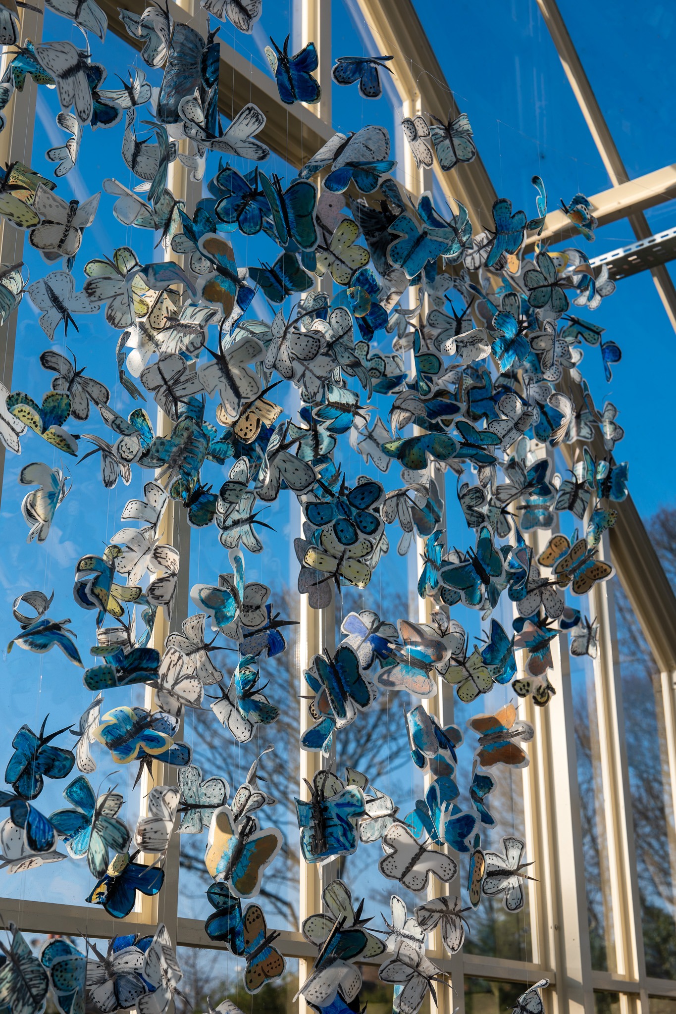 VPET Butterfly House, Victoria Park