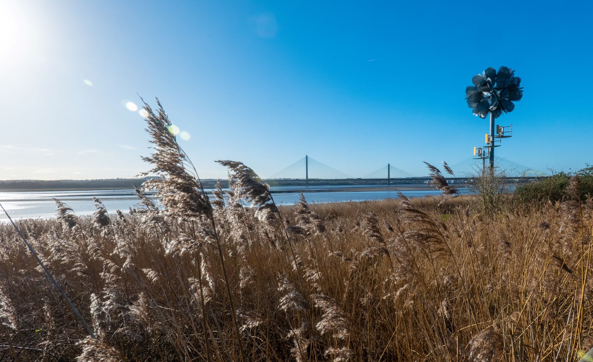 OPEN SPACES AND SMILING FACES