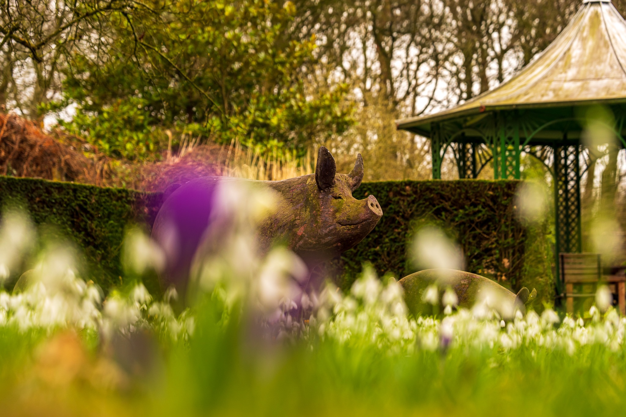 What’s On This July in Halton: Music, Theatre, Dance, and More!