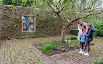 What’s Happening in Halton This September: Heritage, Hidden Art & Steve Bruce