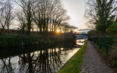 WHAT’S ON IN NOVEMBER?