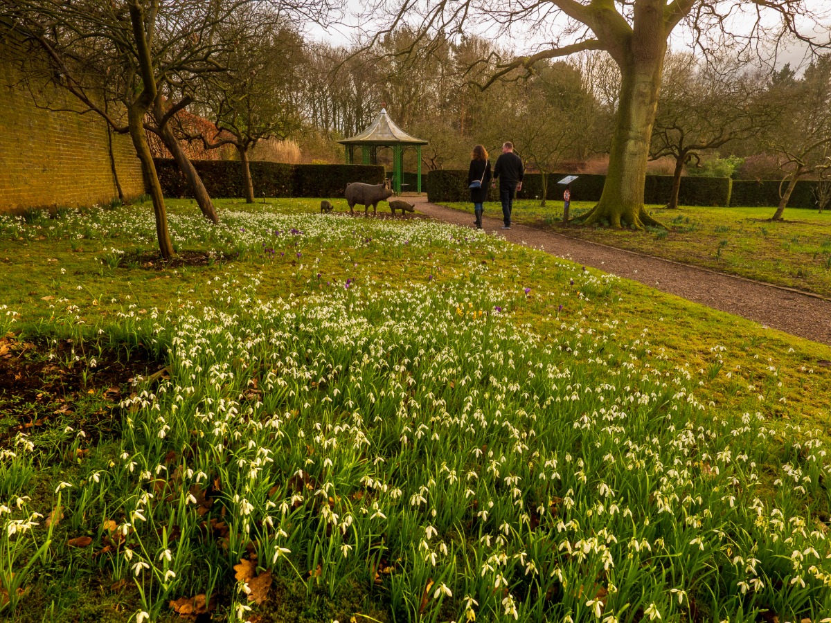 Walled Gardens walking