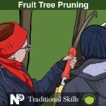 Fruit-Tree-Pruning-25.01.26-1.jpg