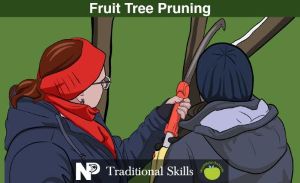 Fruit-Tree-Pruning-25.01.26-1.jpg