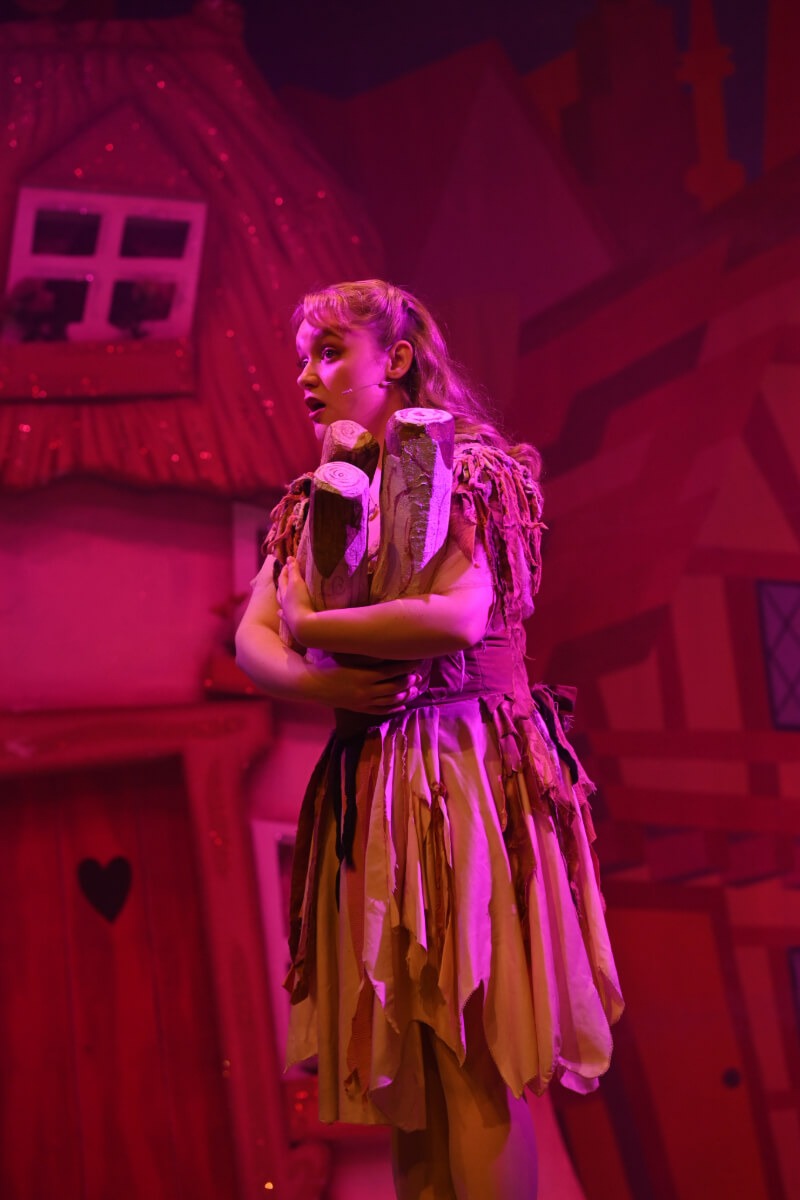 cinderella-pantomime-brindley-theatre-2026