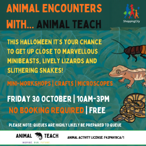 Animal-Encounters_300x300px.png